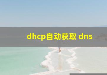 dhcp自动获取 dns